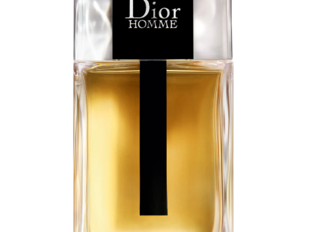 Dior Homme Eau De Toilette 100ml Online Sale