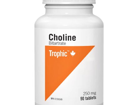 Choline Bitartrate 250 mg Online