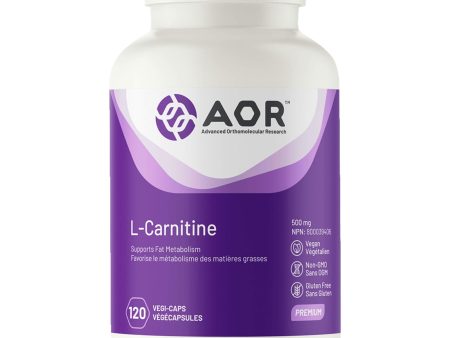 L-Carnitine 500mg Online Hot Sale