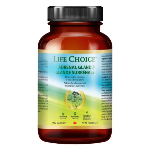 Adrenal Gland Supply