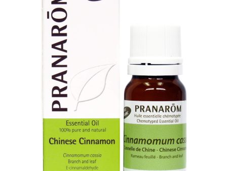 Chinese Cinnamon Essential Oil on Sale