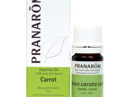 Carrot Essential Oil on Sale