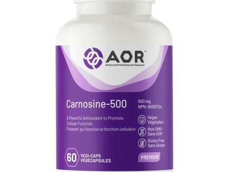 Carnosine - 500 For Sale