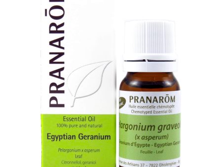 Egyptian Geranium Essential Oil Fashion