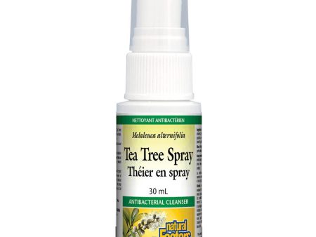 Tea Tree Spray Online Sale