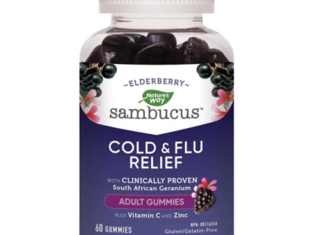 (GWP) Sambucus Cold & Flu Relief Gummies Online now