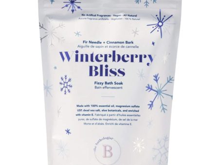 Winterberry Bliss Fizzy Bath Soak Fashion