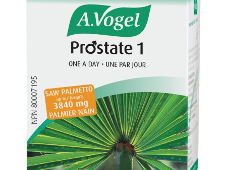 Prostate 1 (Sabalasan) One A Day For Cheap